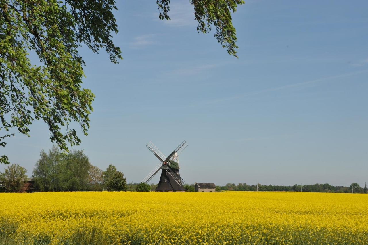 Ostsee-Ferienhaus Im Gruenen Klockenhagen Kültér fotó
