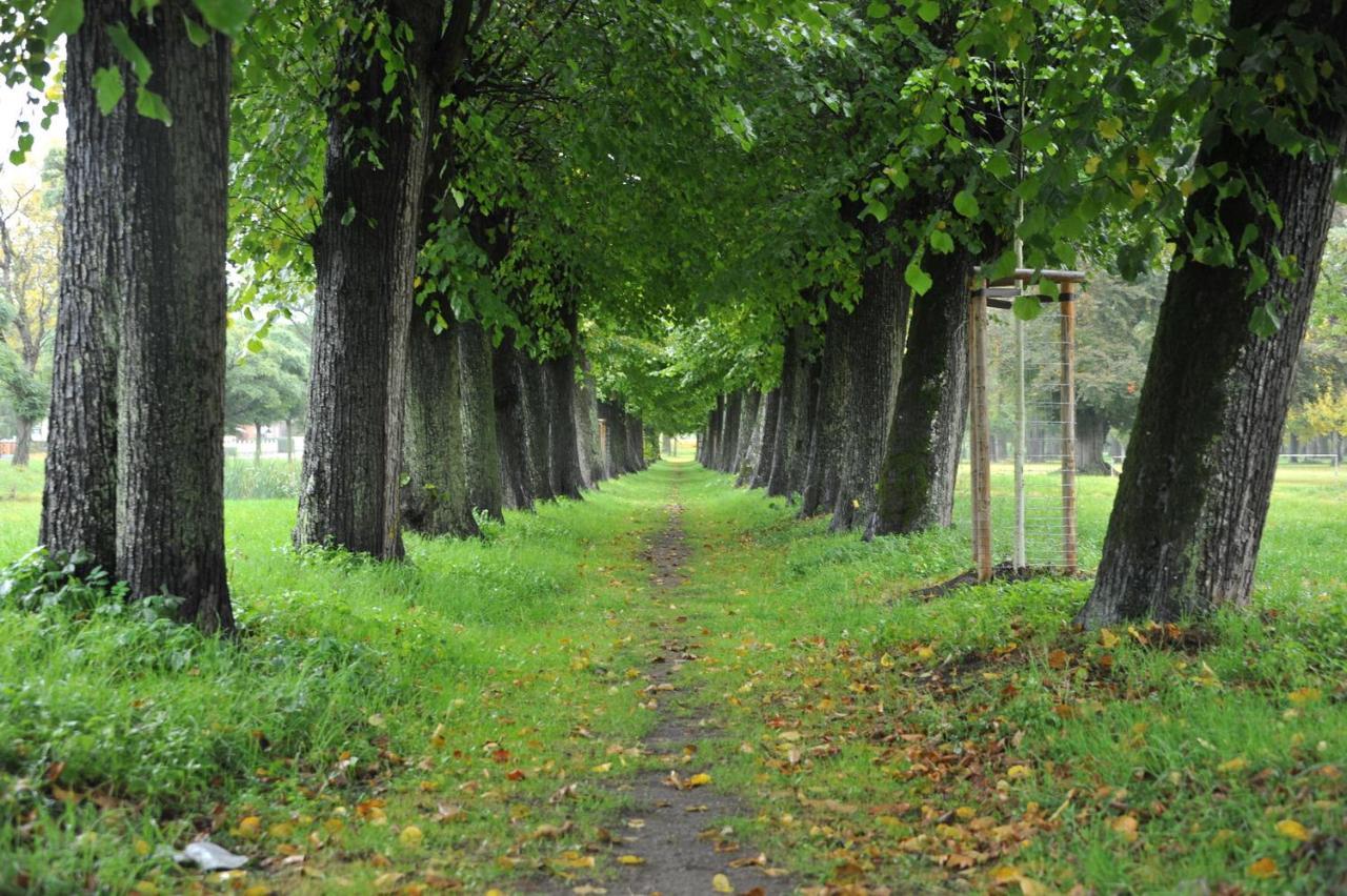Ostsee-Ferienhaus Im Gruenen Klockenhagen Kültér fotó